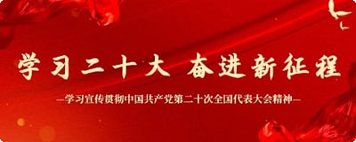 深入学习贯彻党的二十大精神